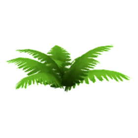 frost-fern