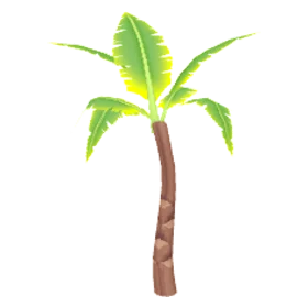 palm
