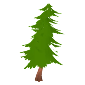 pine