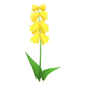 sunbloom